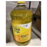 Pine-Sol Concentrate (1.12 Gal)