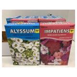 10 Ct Alyssum and Impatiens Mixed Seed Mixtures