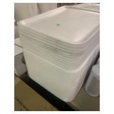 Stack of Styrofoam Trays