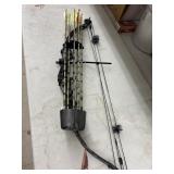 Bow & Arrows - Pearson Renegade