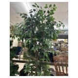 Faux Plant