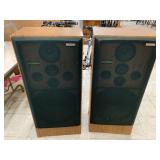 Pioneer Speakers, Water Damage on Bottom?