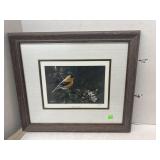 Framed Signed Bird Print
