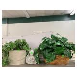 2cnt Plants and Angel Decor