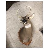 Deer Mount