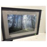 Framed Photo - Signed