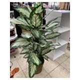 Fake Plant
