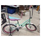 Schwinn Bike