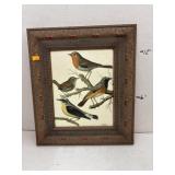 Framed Signed Bird Print