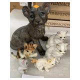6cnt Cats