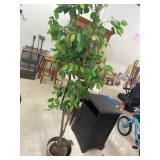 Faux Plant / Tree
