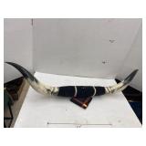 Horns Display
