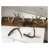 Antlers and Hook Board