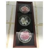 3 Decorative Plates in a show box ready to hang