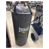 Heavy-Duty Everlast Punching / Workout Bag