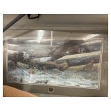Framed Print - Pheasants