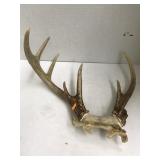 Antlers