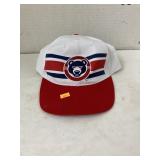 Cubs Smoothie King hat