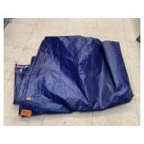 Tarp