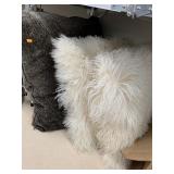 3cnt large pillows