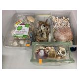 4 Containers of Shells