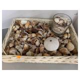 Basket of shells