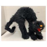 Halloween Black Cat