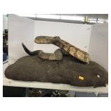 Snake On Foam, Spots in the skin