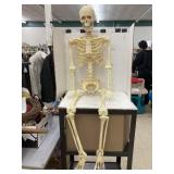 Posable plastic skeleton