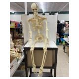Posable plastic skeleton