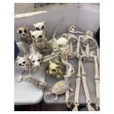 Skeleton Halloween Decor Figures