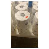 Toilet paper (10 rolls)