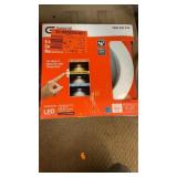 Ceiling light and recessed light