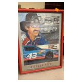 Richard Petty Picture