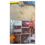 RARE Selena Gomez CD sealed