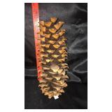 Large pinecone