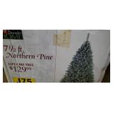7 1/2 ft Northern Pine