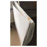 Large lot of poster board. 22"x28"