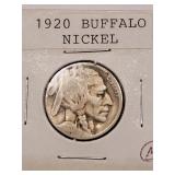 1920 BUFFALO NICKEL 1920 BUFFALO NICKEL