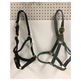 Black and blue nylon halters