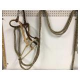 Halter and braided reins