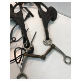 Jointed bit on bridle