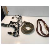 Show halter and braided leather leads