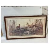 Gregory F Messier deer print. 35' x 20'