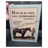 How To Be Your Horses Vet Sometimes
