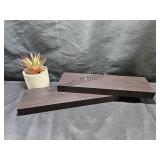 2 Floating Shelves & Fake Plant