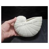 Seashell Vase / Planter