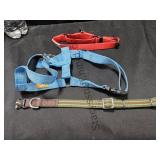 Harness & Collar SZ LG