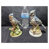 Porcelain Blue Jays