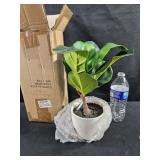 Fake Plant